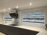roller blinds55 roller blinds55